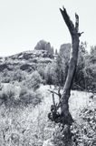 Sedona, AZ 2023