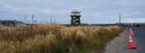 Westport Viewing Tower