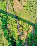 Vincent Creek Falls