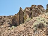 Feathers at Frenchman Coulee