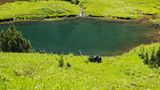 Owyhigh Lakes