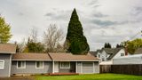 Ridgefields Heritage Sequoia