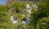 Niagara Springs