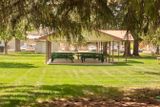 Preston Community Park