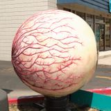 Biggest Eyeball in Idaho