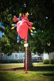 Open Heart