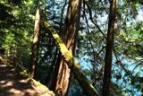 Moran State Park