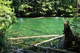 Moran State Park
