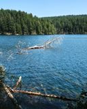 Moran State Park