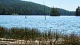 Moran State Park