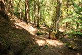 Moran State Park