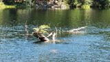 Moran State Park