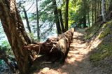 Moran State Park