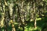 Moran State Park