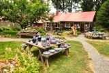 Orcas Island Pottery