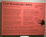 Whatcom Museum
