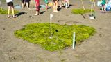 Birch Bay Sand Sculpture Competition