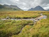 Glencoe