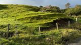 Fairy Glen
