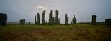 Callanish Stones I