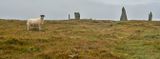 Callanish Stones II