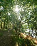 Pitlochry