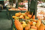 Smallwoods Harvest