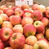 Smallwoods Harvest