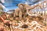 Lasting Legacy Wildlife Museum
