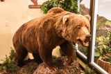 Lasting Legacy Wildlife Museum