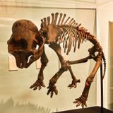 REACH Museum