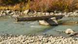 Tieton River Nature Trail