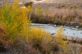 Tieton River Nature Trail