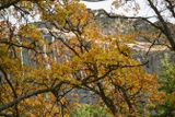 Tieton River Nature Trail