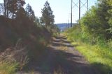 Palouse to Cascades Trail