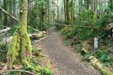 Lime Kiln Trail