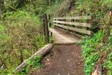 Lime Kiln Trail