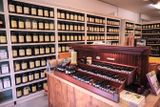 Dandelion Botanical Company