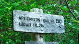 Ape Canyon