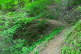 Ape Canyon