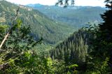 Ape Canyon