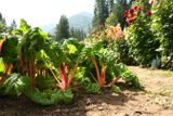 Stehekin