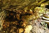 Gardner Cave