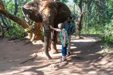 Love that elephant