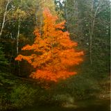 Along the Cabot Trail, Cape Breton Nova Scotia