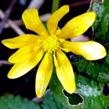 DSC00259a w.jpg