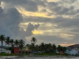 IMG_8228.jpg