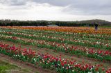 _DSC7344.jpg