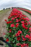 _DSC7360.jpg