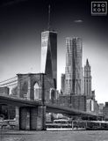 Brooklyn Bridge And Lower Manhattan Skyscrapers (B&W)
